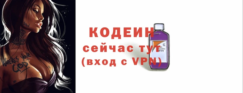 ОМГ ОМГ ССЫЛКА  купить наркотики сайты  Светогорск  Кодеин Purple Drank 