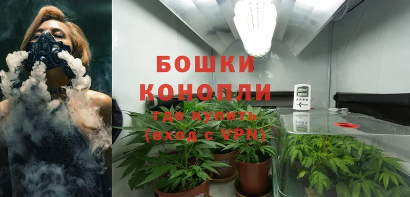 кракен вход  Светогорск  Бошки Шишки White Widow 